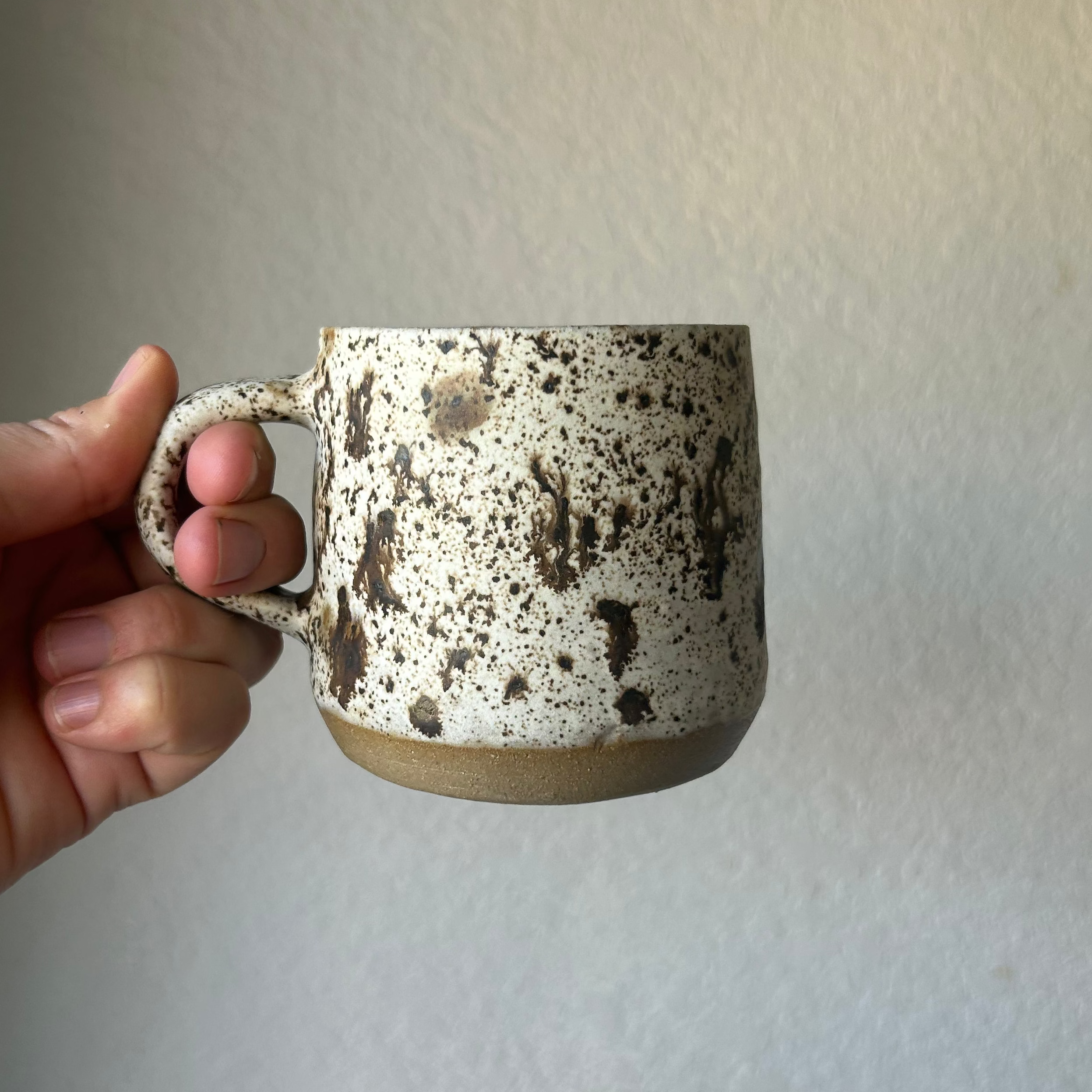 Speckled Mug