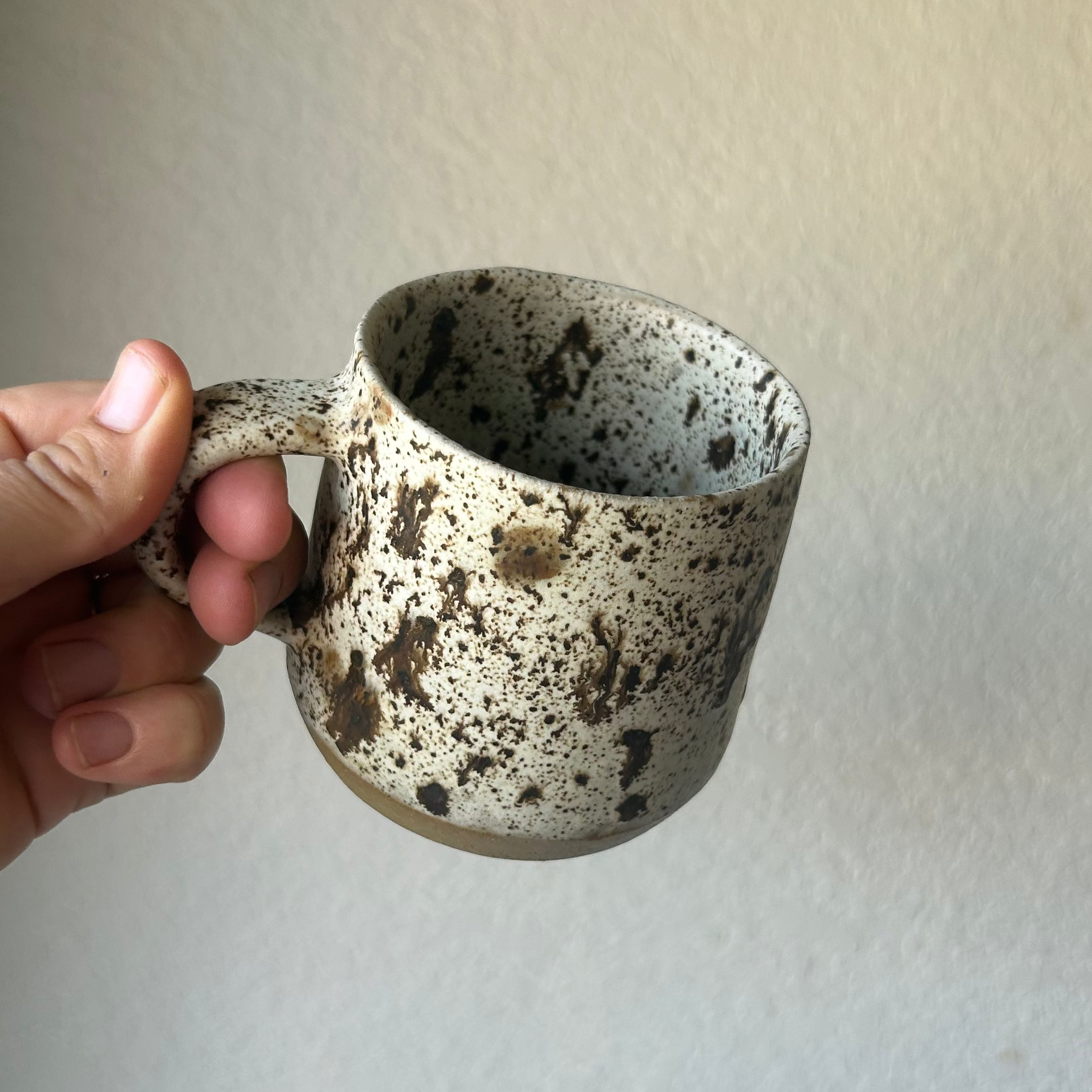 Speckled Mug